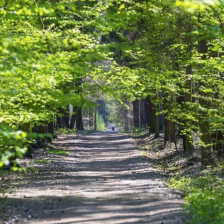 Laskara Garden By Prague Forest * Nové Jirny