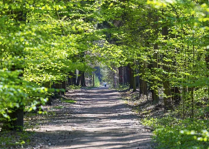 Laskara Garden By Prague Forest * Nove Jirny