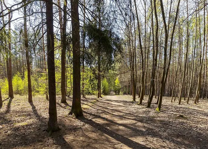 Laskara Garden By Prague Forest *